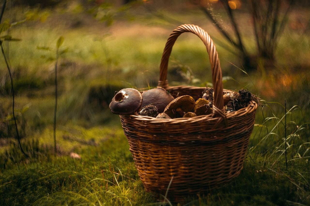 Pomysły na ciepłe jesienne weekendy