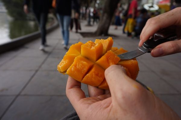 Popularne zamienniki mięsa